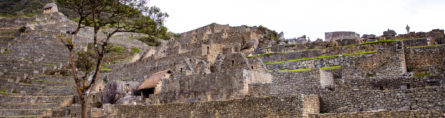 Imagen de presentación